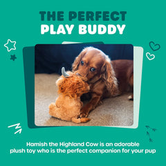 Hamish the Highland Cow Plush Dog Toy – Soft, Squeaky & Durable Eco-Friendly Fun