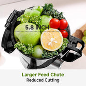 Automatic Cold Press Juicer 250W 145mm Wide Chute 2L Silver