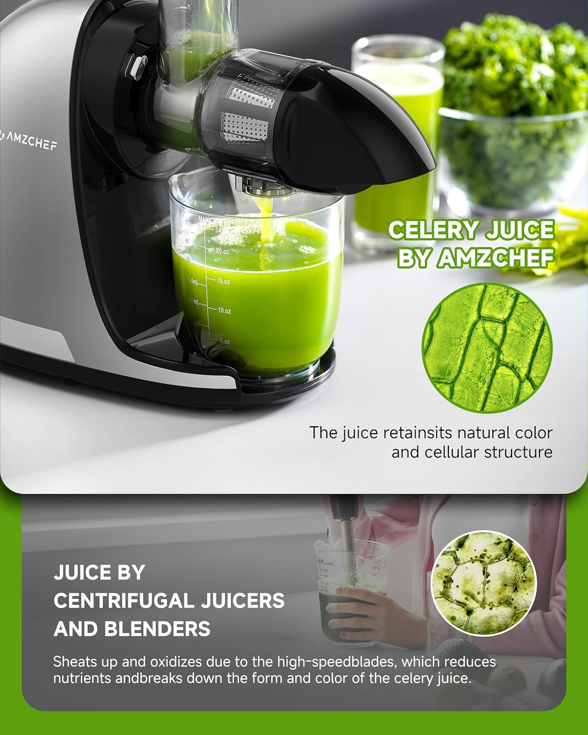 Juicer Machine – Cold Press Slow Masticating Juicer for Fruits & Vegetables, BPA Free Juice Extractor with 2 Cups & Brush