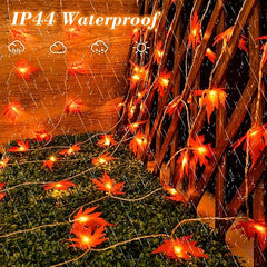 3M Maple Leaf Fairy Lights 20LED Battery Operated with Timer for Halloween, Thanksgiving, Christmas Party, Table Decoration