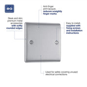 Single Blank Plate Pack of 2 – Brushed Steel