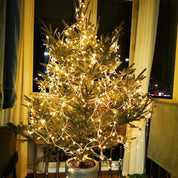 30LED Battery-Powered Fairy Lights