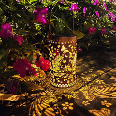 fairy solar lantern outdoor

