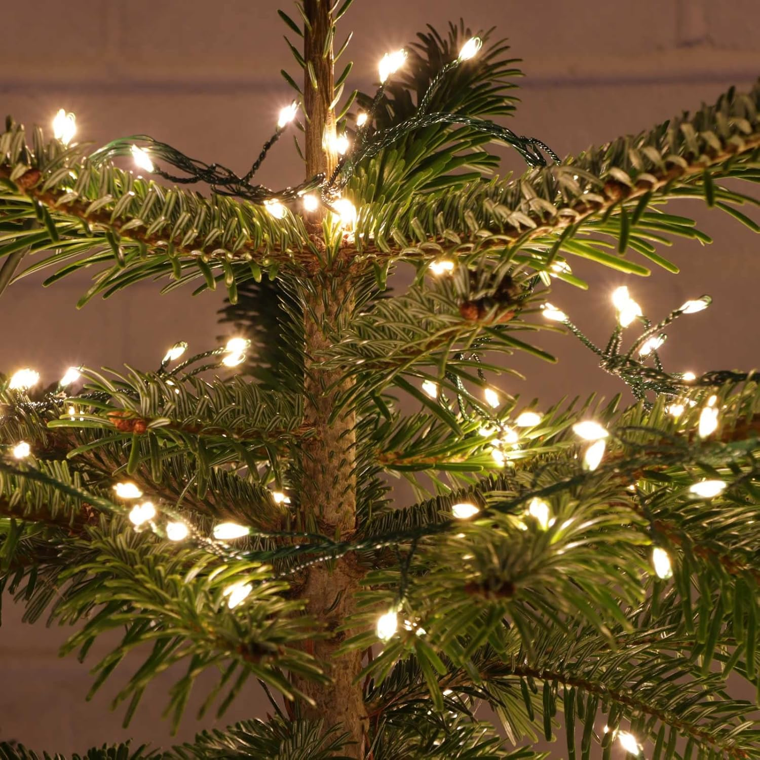 Warm White Cluster Fairy Lights