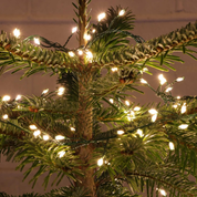 Warm White Cluster Fairy Lights