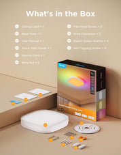 Smart RGBIC 30cm LED Ceiling Light