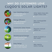 Colour-Changing Solar Garden Lights – 10 Pack LED Stakes