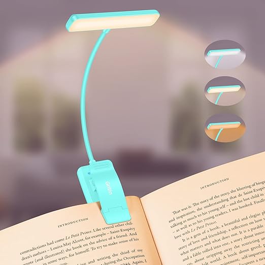 Rechargeable 19 LED Book Light with Flexible Neck