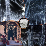 50M Tree Fairy Lights with Remote