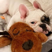 Puppy Heartbeat Stuffed Toy for Dogs, Calming Aid & Anxiety Relief (Brown)