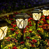 6-Pack Warm White Solar Garden Lights for Pathways