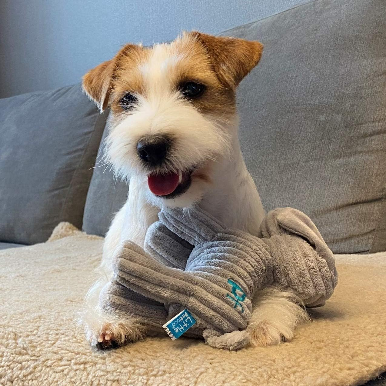 Freddi Cord Plush Puppy Dog Toy – Soft, Durable & Squeaky Cuddle Toy for Pets