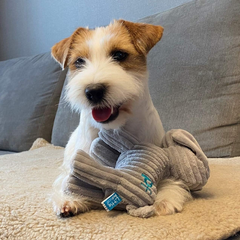 Freddi Cord Plush Puppy Dog Toy – Soft, Durable & Squeaky Cuddle Toy for Pets