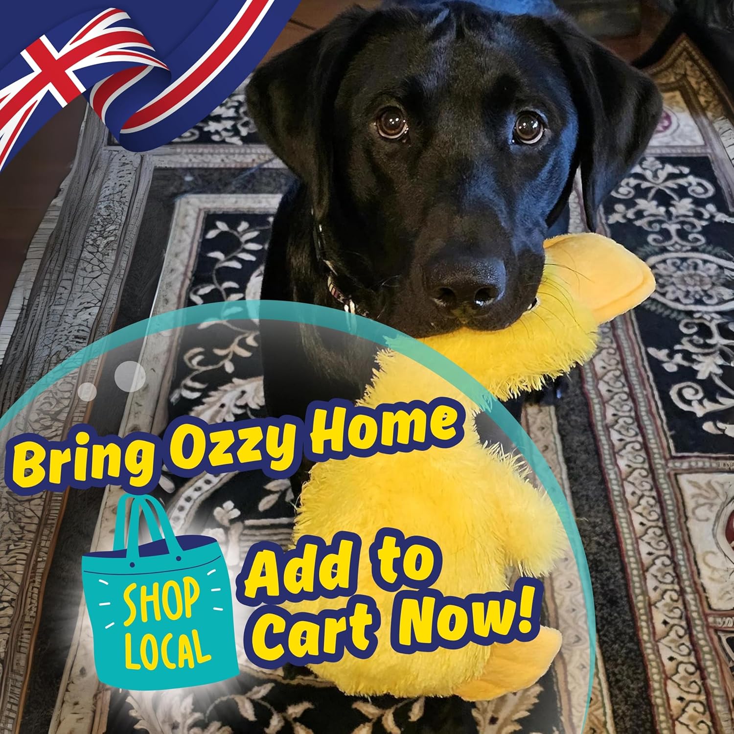 No Stuffing Squeaky Crinkle Duck Toy – Soft Plush Calming Gift for Dogs & Puppies