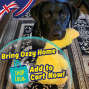 No Stuffing Squeaky Crinkle Duck Toy – Soft Plush Calming Gift for Dogs & Puppies