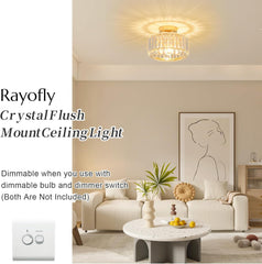 Modern Crystal Ceiling Light with Glass Lampshade Chrome