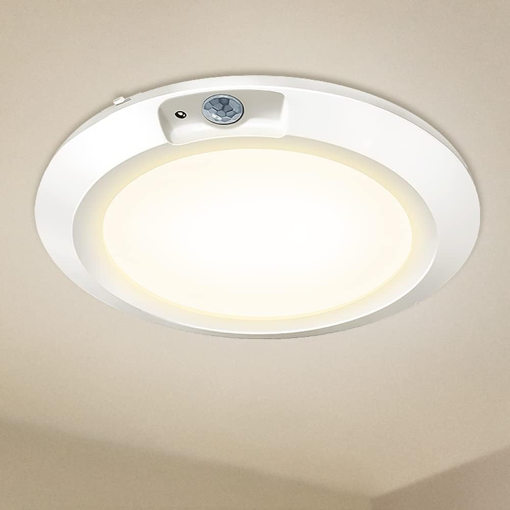 Motion Sensor Ceiling Light for Shed