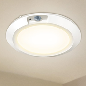 Motion Sensor Ceiling Light for Shed