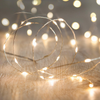 Battery-Operated Indoor Fairy Lights