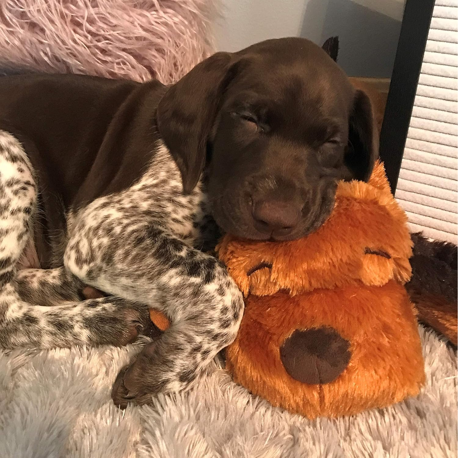 Puppy Heartbeat Stuffed Toy for Dogs, Calming Aid & Anxiety Relief (Brown)