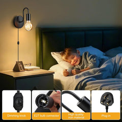 Alpha Lights Plug-In Wall Sconce

