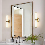 Bathroom with a large mirror, wall lights, and a plant on a counter.