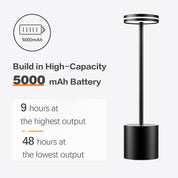 Black outdoor lamp with battery information on a white background