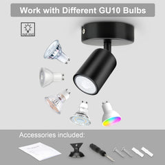 Black spotlight with GU10 bulbs and accessories on a gray background