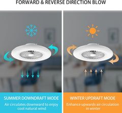 Ceiling fan with summer downdraft and winter updraft modes illustrated.