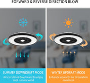 Ceiling fan with summer downdraft and winter updraft modes illustrated.