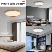 Ceiling light fixture shown in various rooms including a bedroom, living room, and study area.