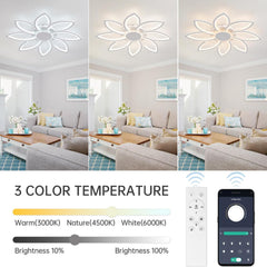 Ceiling light fixture with 3 color temperature options and remote controls displayed.
