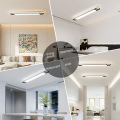 Ceiling lights in various settings including living room, bedroom, restaurant, and aisle.