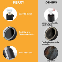 Comparison chart between Kerry and other products with features highlighted on an orange and gray background.