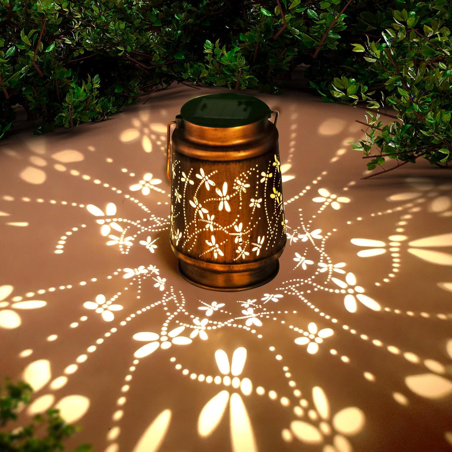 Decorative lantern casting floral shadows on a ground surface with greenery around.