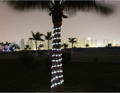 Decorative lights on a palm tree with a city skyline in the background