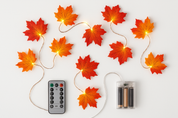 Decorative string lights with leaf design, remote control, and batteries on a white background