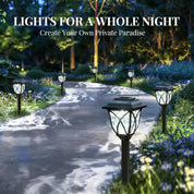 Garden pathway with solar lights creating a private paradise