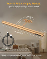 Gold wall-mounted lamp with charging cable and adapter, showing dimensions and charging information.