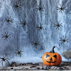 Halloween-themed scene with a jack-o'-lantern, spiders, and cobwebs.