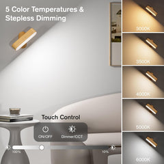 LED picture light battery powered

