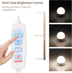 Lighting control device with brightness adjustment options and corresponding light bulb images.