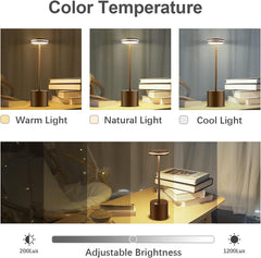 Lighting setup with adjustable color temperature and brightness on a desk.