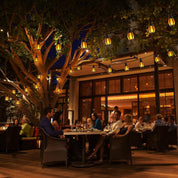 People dining outdoors at night with tree decorations and string lights.