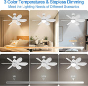 Remote controlled fan ceiling light

