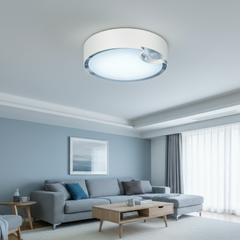 Motion Sensor Light Indoor, Battery Operated Ceiling Light, Battery Powered Shed Lights for Bathroom Porch Stairs Garage