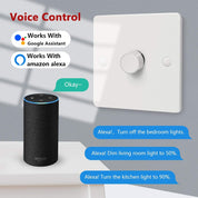 Smart light switch with Amazon Echo device and text indicating voice control with Google Assistant and Amazon Alexa.
