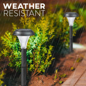 Solar pathway lights in a garden with rain, emphasizing weather resistance.
