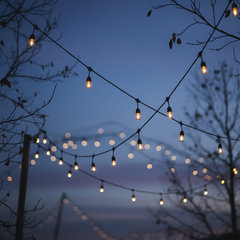 String lights hanging between trees against a dark blue sky
