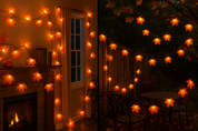 String lights with flower-shaped bulbs in a cozy indoor setting with a fireplace and outdoor area.